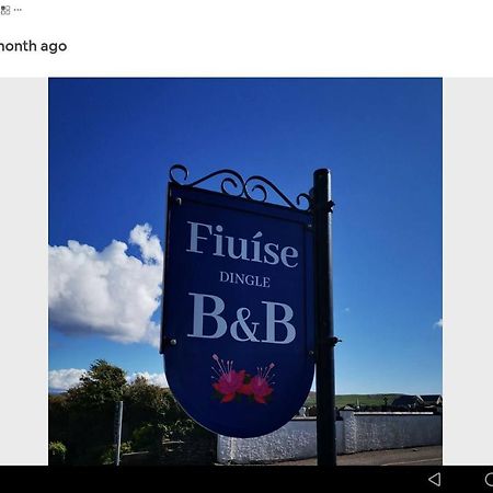 Fiuise B&B Дінгл Екстер'єр фото